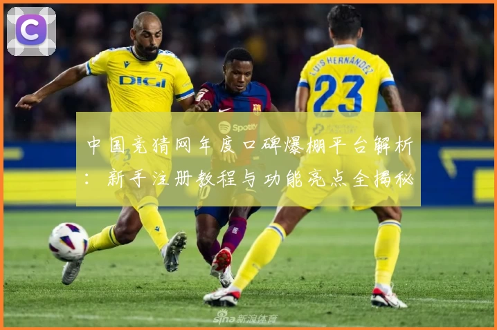 中国竞猜网年度口碑爆棚平台解析：新手注册教程与功能亮点全揭秘