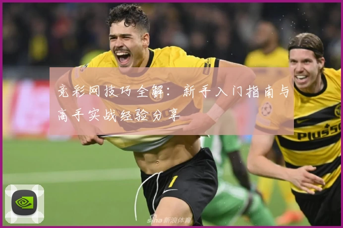 竞彩网技巧全解：新手入门指南与高手实战经验分享