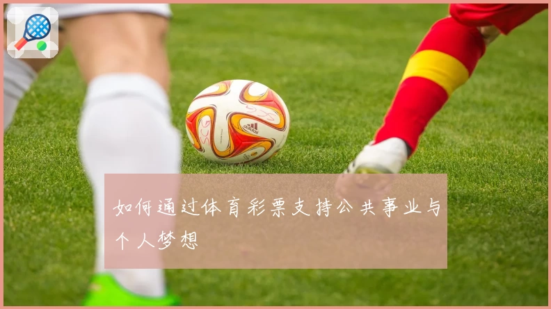 如何通过体育彩票支持公共事业与个人梦想
