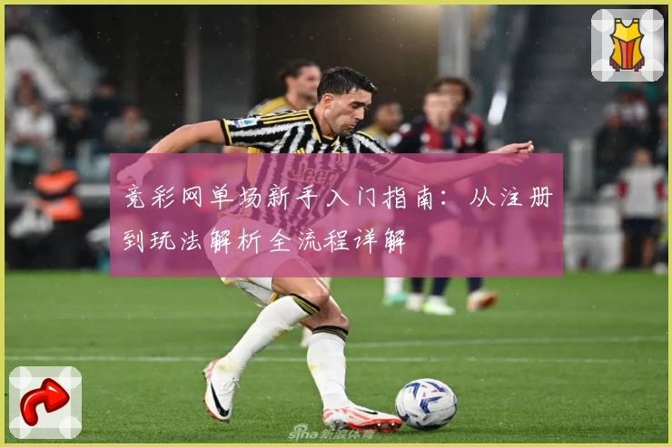 竞彩网单场新手入门指南：从注册到玩法解析全流程详解