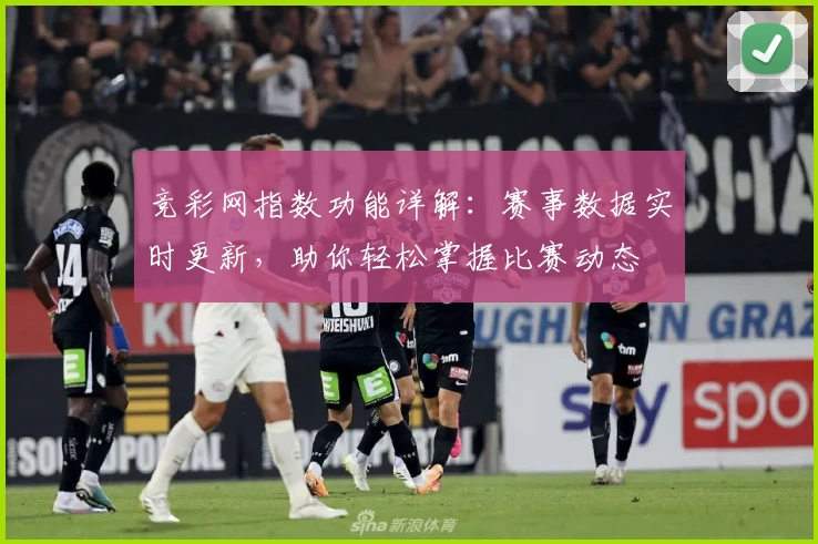 竞彩网指数功能详解:赛事数据实时更新,助你轻松掌握比赛动态