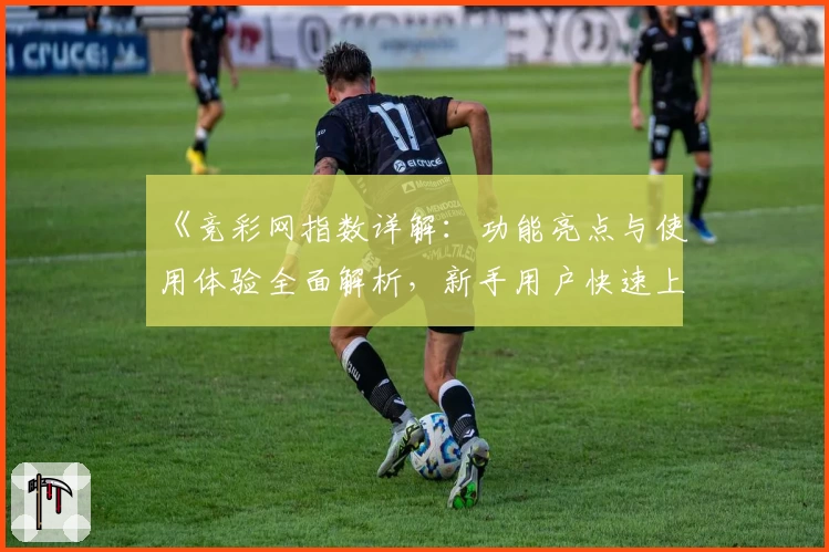 《竞彩网指数详解：功能亮点与使用体验全面解析，新手用户快速上手指南》